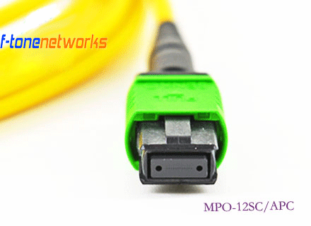 beat��365(�й�)Ψһ�ٷ���վ