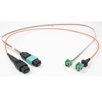 PRIZM? LIGHTTURN?���