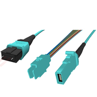 MXC? ��о�������