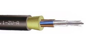 ���ֹ��˹���