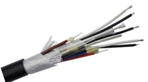 FT ���ֶ��ƹ�縴�Ϲ���