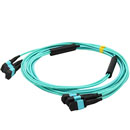 MTP/MPO���ɹ�������