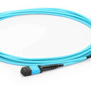 MPO/MTP���ܶ�ϵ��